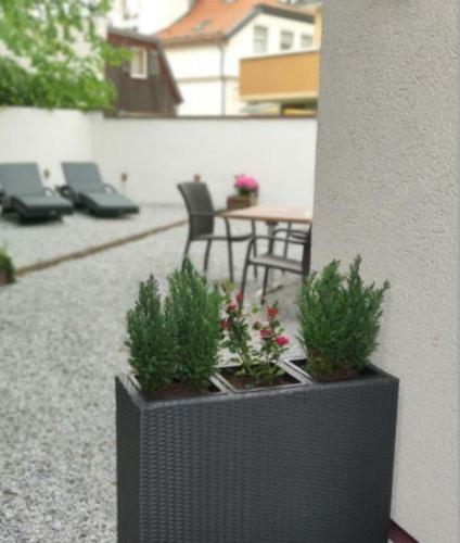 Regiohotel Germania Am Kurpark Bad Harzburg Kültér fotó
