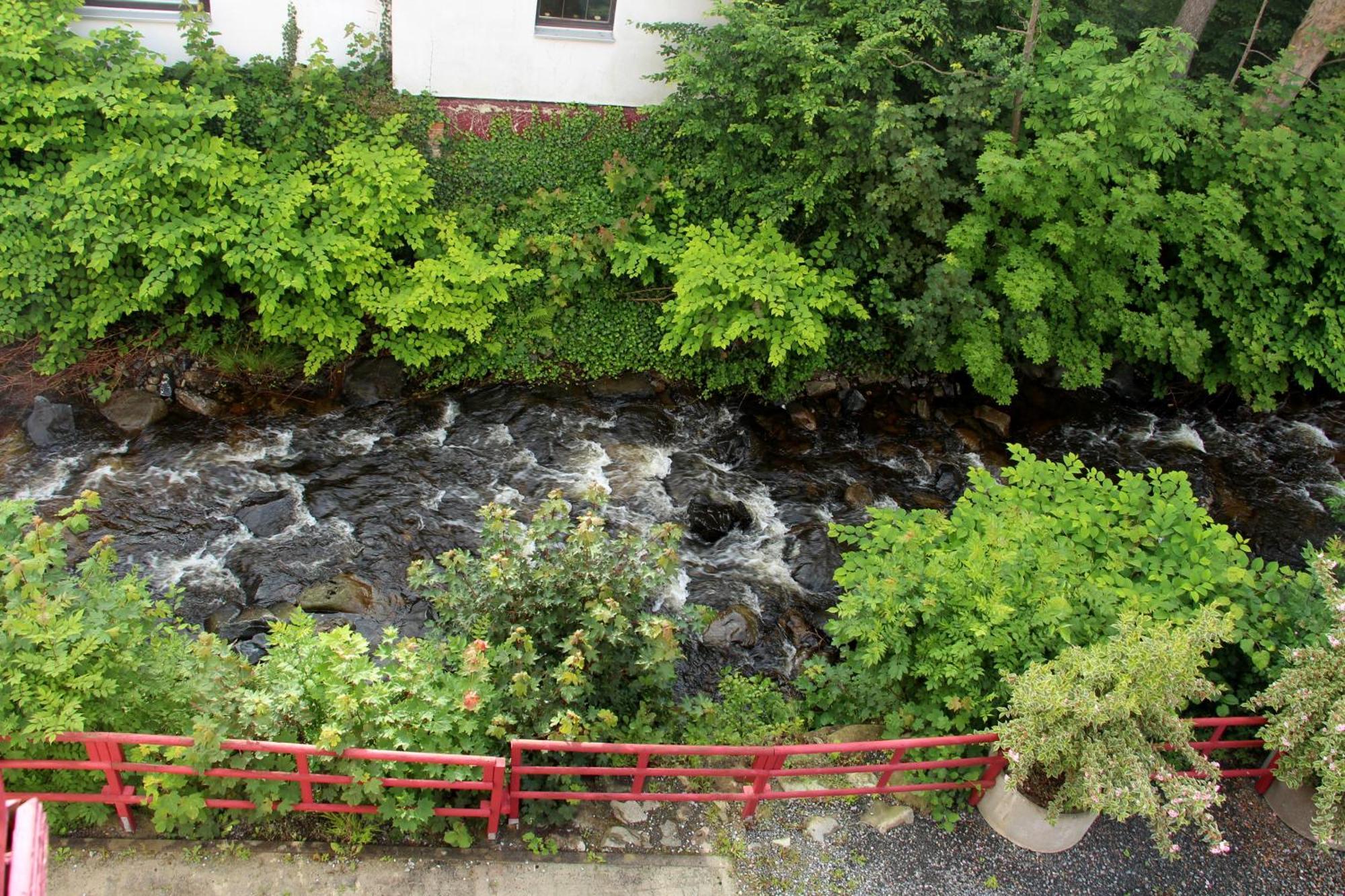 Regiohotel Germania Am Kurpark Bad Harzburg Kültér fotó