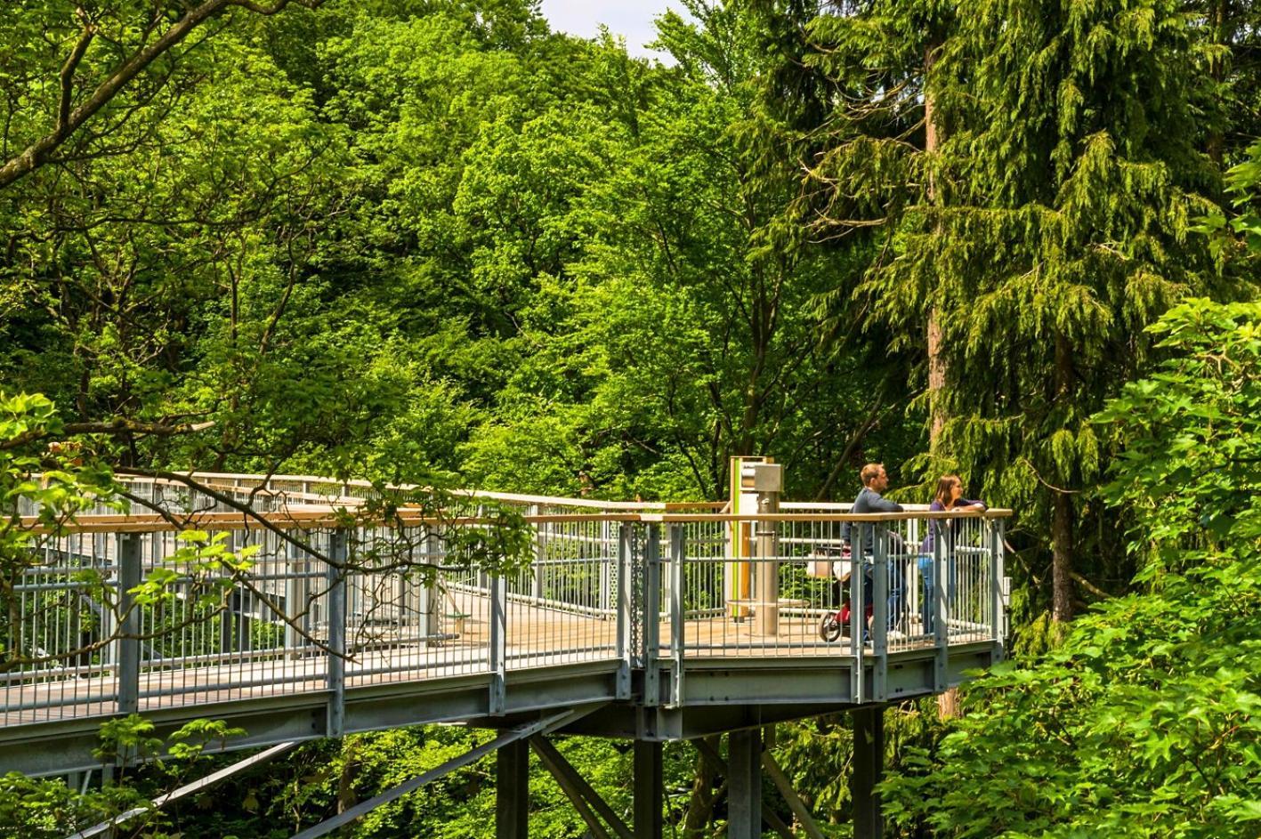 Regiohotel Germania Am Kurpark Bad Harzburg Kültér fotó